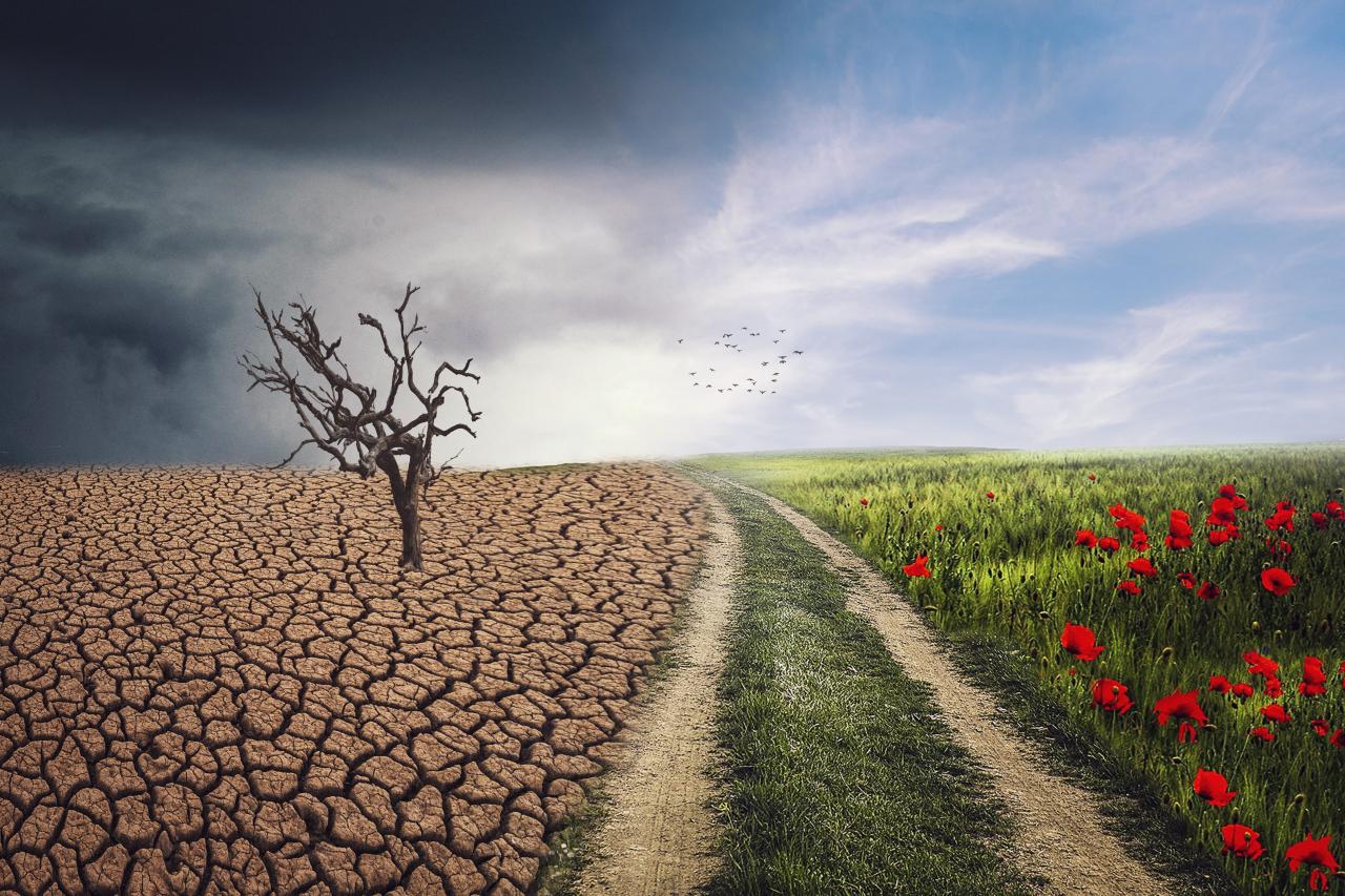 landscape-4684217.jpg